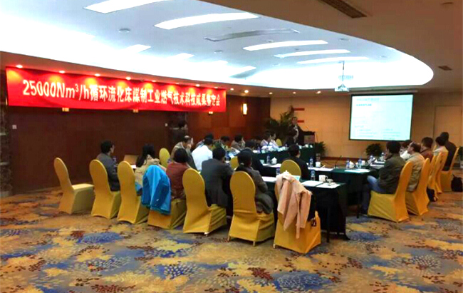 循環流化床煤制工業燃氣技術科技成果鑒定會
