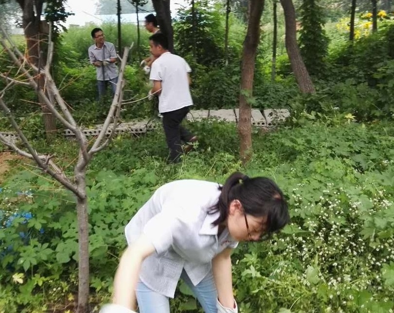黃臺拔草活動